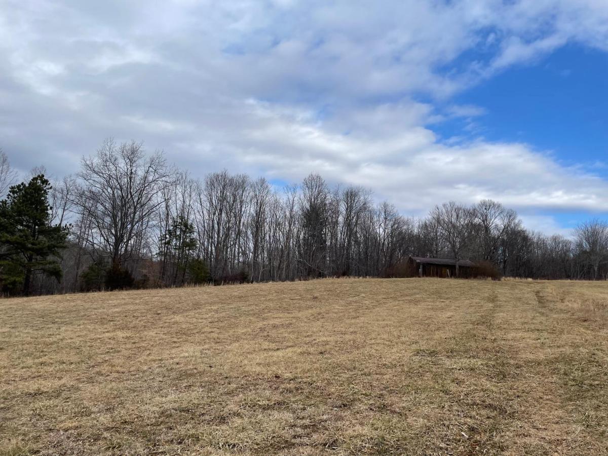 Giggling Creek Cottage - Bedjet! King Sized! Gazebo, 45 Acres, Arcades, Nintendo, More Henry Eksteriør billede